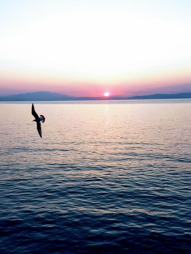 Haus Elena Aparthotel Kavala Buitenkant foto